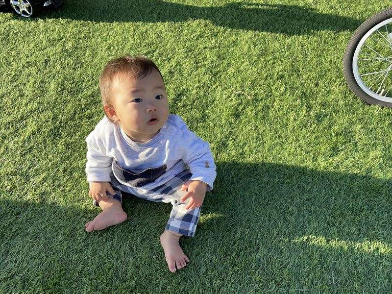 人工芝の充填剤の役割は？