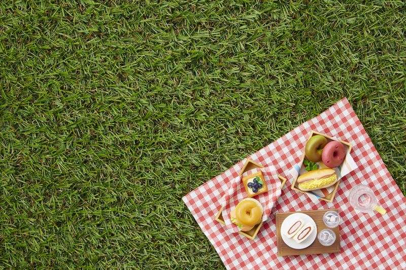 人工芝と天然芝の違いと特徴