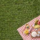 人工芝と天然芝の違いと特徴